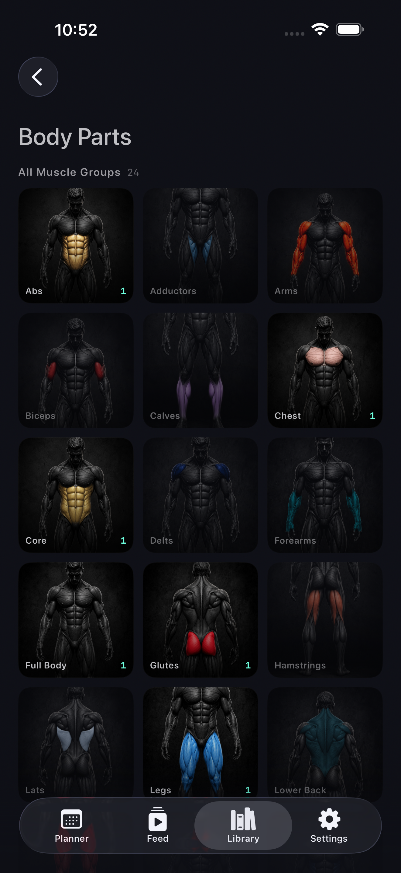 Nine muscle groups, sorted automatically